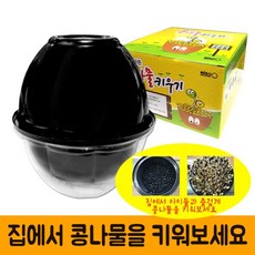 콩나물키우기관찰