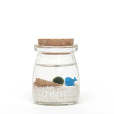 데코덴아트마리모