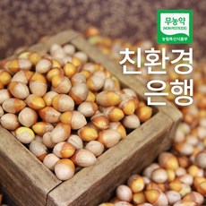 깐은행 국산 은행 친환경 은행 열매 24년 수확, 1개, 깐은행(중) 500g