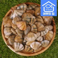 국내산 제철 조개 구이 찜 탕 비단조개...