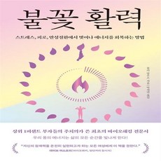 불꽃 활력 - 스트레스 피로 만성질환에서 벗어나 에너지를 회복하는 방법