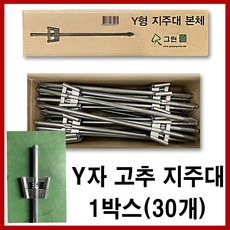 y자지지대