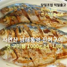 [산지직송] 국내산 자연산 남해 통영 전어 구이용 1000g (14~18미), 1세트