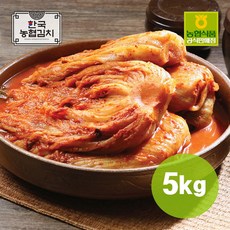 [100%국산] 농협 아름찬 김치 묵은지 5kg, 1개