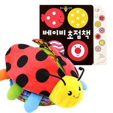 무당벌레헝겊책