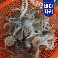 d6fe9e2fee9f1a7ab1cd7e3ff4bec37e9954e58b1ac1e85bd3fabed4b776.jpg
