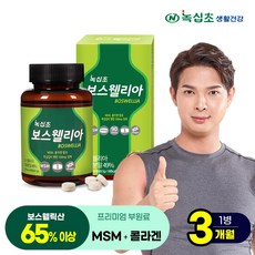 녹십초 보스웰리아 정제 보스웰릭산65% MSM 콜라겐 함유, 보스웰리아 90정x1병(3개월)