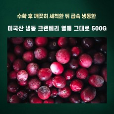 냉동크랜베리