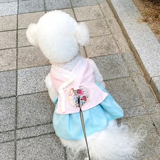 호나미네 핸드메이드 강아지한복 목련 공주 하네스한복, 옥색, 1개