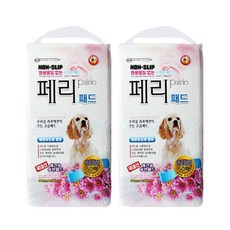반려동물기초아로마강사