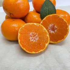 다우렁효돈농협하우스감귤