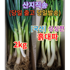 한끼 파채, 80g, 1개 강남