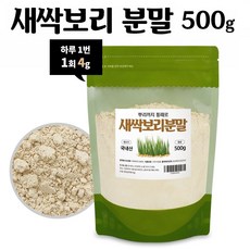 새싹보리 뿌리 분말 가루 보리새싹뿌리 100% 국산 뿌리까지 통째로 새싹보리분말 대용량 500g, 1개