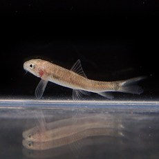 1b5e41deac22d57000e3a382e3320fb6f362b6e1b947e18579073899ebf8.jpg