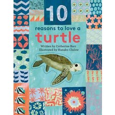 10 Reasons to Love A... Turtle Hardcover, Frances Lincoln Ltd, English, 9781847809414