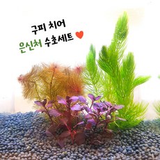 레드밀리오필름