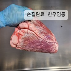 냉장닭염통