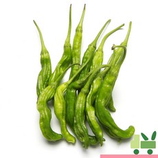 사라상회 꽈리고추 2Kg (특), 1박스