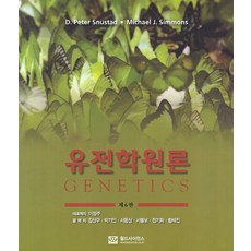 시몬스구스kk