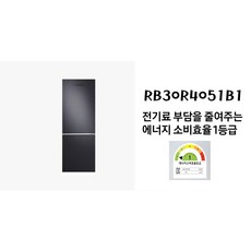 삼성전자 일반형냉장고, 엘리건트 블랙, RB30R4051B1