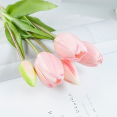 가렌꽃