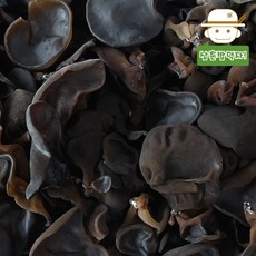 무농약 인증받은 전남강진 생 목이버섯 500g, 1개