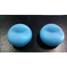 반려동물펫푸드스타일리스트