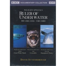 f4489e16bd3ea6c413761d5077ac852486e82b9e20f2a4e6b3eafecb4806.jpg