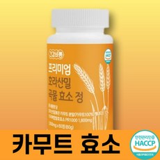 가핏 TOP01