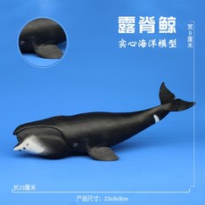 컬렉타북극고래