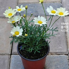 d5bf1babda8196b65ae78184d1a48ba8206c74d6f734b7cb834a8c2bf53b.jpg