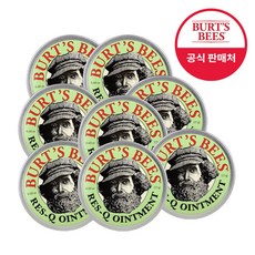 버츠비레스큐오인트먼트15g