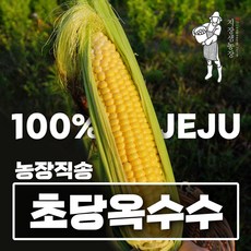 제주 고당도 초당옥수수 최상품 농가직송 5개 10개 15개 20개 30개