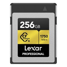 렉사 CF익스프레스 골드 타입B 메모리카드, 256GB, 1개