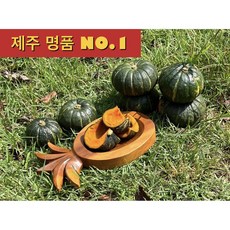 <제주빛가람> 제주 미니 밤호박 보우짱, 1박스, 4kg” width=”90″ height=”90″><span class=