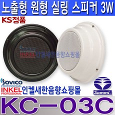 모델3스피커