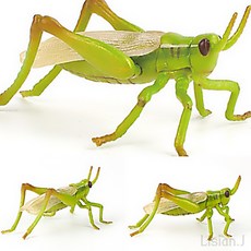 메뚜기장난감