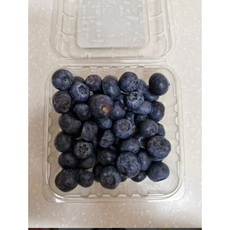 썬리지 생블루베리 블루베리 미국산 500g 4팩 1kg 8팩 [원산지:미국], 1개
