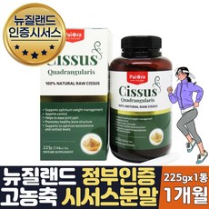 블루존시서스