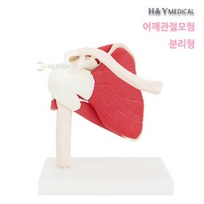 라이프전시회
