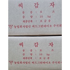 [한국농자재유통] 씨감자 로즈(홍감자)4kg 10kg 보급종 감자씨 강원도채종 정품 2024년, 수미, 1개