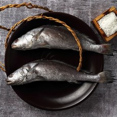 추천5 진이수산