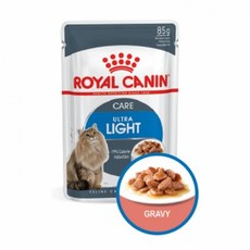 가정용육수슬러쉬