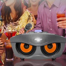 듀얼노래방기계