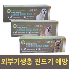 금동물