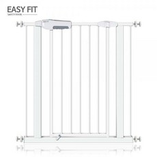 이지핏베이직안전문