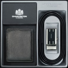 찰스톤벨트