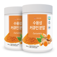 수용성커큐민 분말 200g HACCP 인증제품, 2개