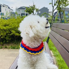 코바늘강아지옷