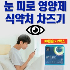 차즈기효능